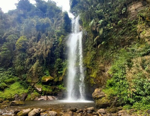 6. La Chorrera waterfall