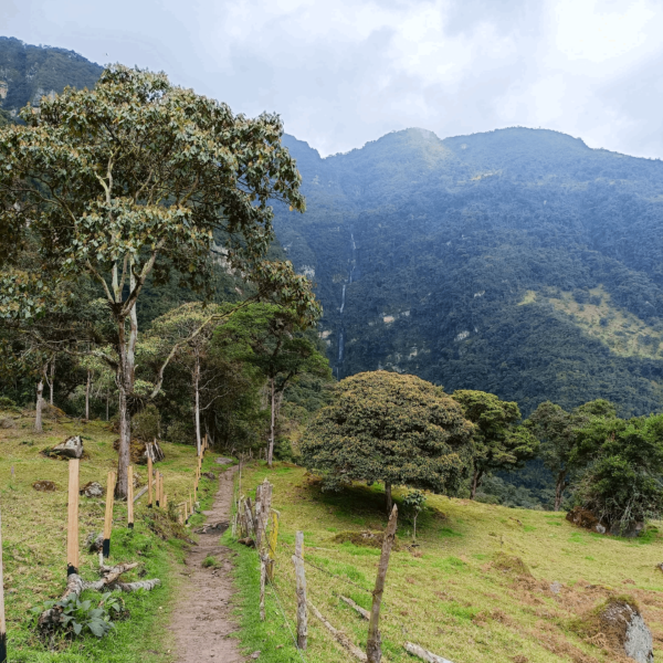 Caminos mágicos