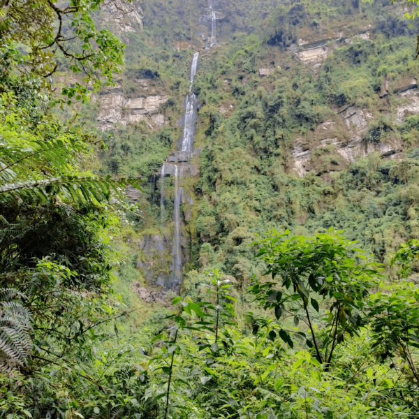 Paraíso cascada La Chorrera