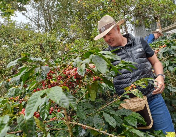 Coloma coffee farm