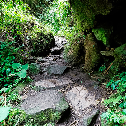Nomadas Colombia Travel Nature